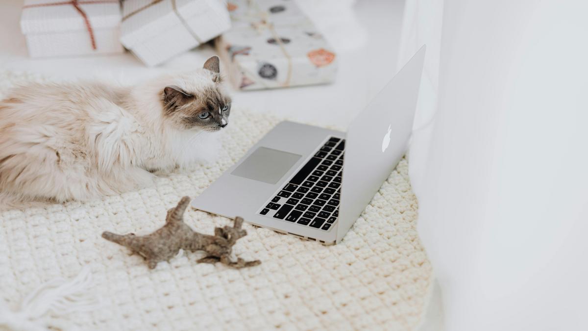 cinco-presentes-tech-ideais-para-surpreender-no-dia-dos-namorados-